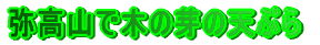 퍂RŖ؂̉̓VՂ