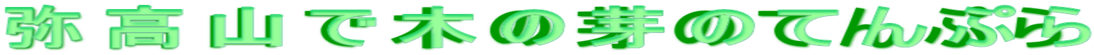퍂RŖ؂̉̂ĂՂ
