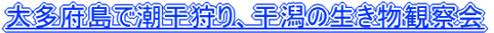 命{@̐ώ@