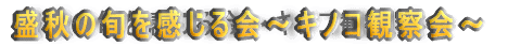 H̏{`LmRώ@`