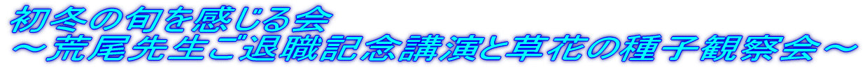 ~̏{ `r搶ސELOuƑԂ̎qώ@` 