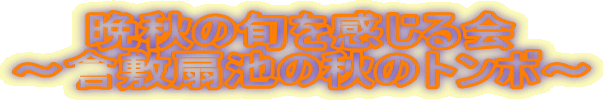 ӏH̏{ `q~ȑH̃g{`