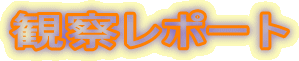 ώ@|[g