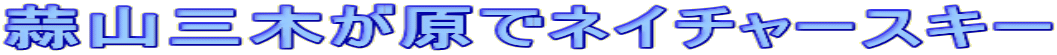 fRO؂ŃlC`[XL[