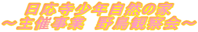 NR̉ `ÎƁ@쒹ώ@` 