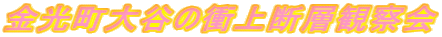 J̏Տfwώ@